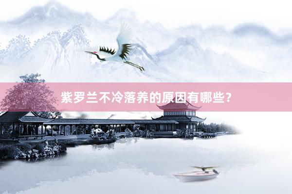 紫罗兰不冷落养的原因有哪些？