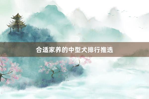 合适家养的中型犬排行推选