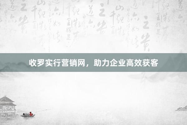收罗实行营销网，助力企业高效获客